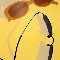 Sunglasses Picnic Poster