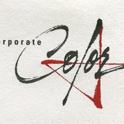Corporate Color Wordmark