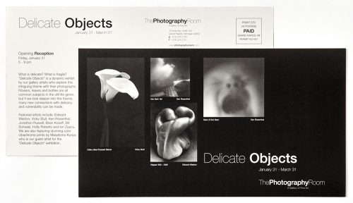 Delicate Objects